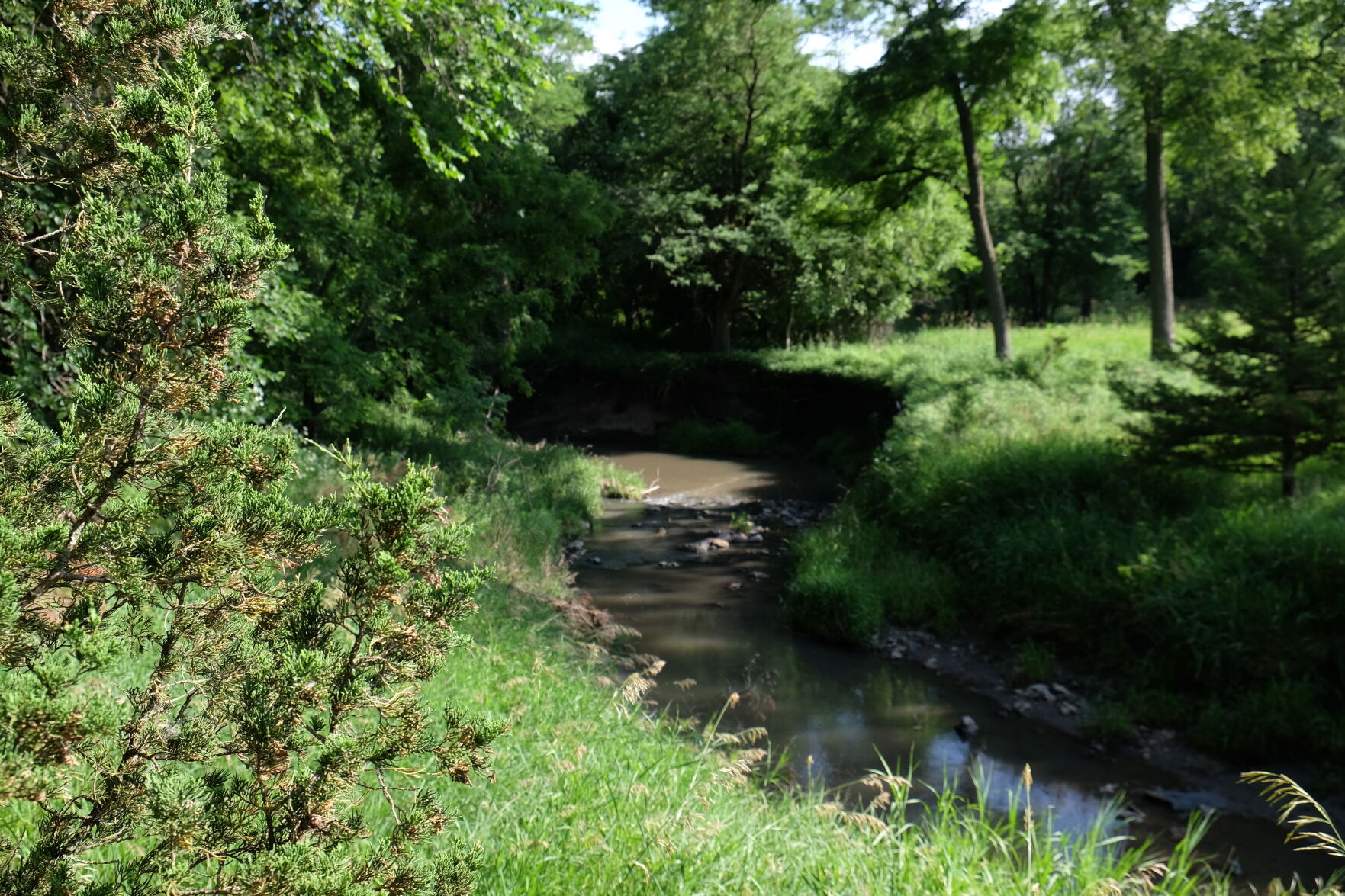 Kimberly Creek.JPG